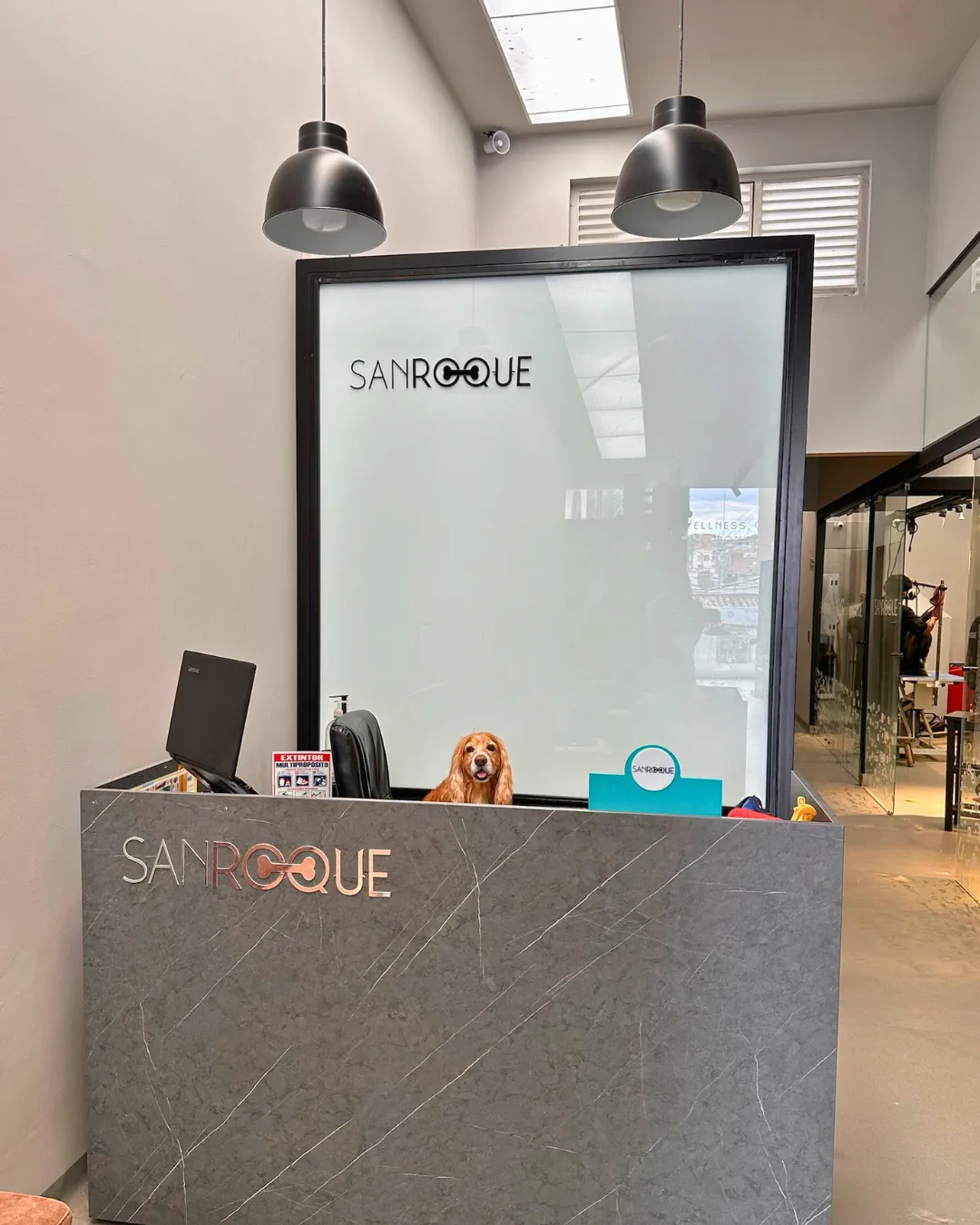 Recepción profesional de SANROQUE